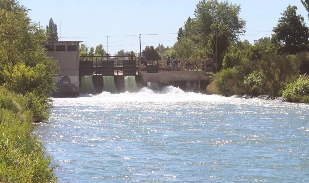 Comenzó a correr el agua por el Canal y piden cuidar a los animales para evitar tragedias