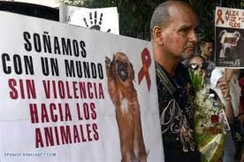 Crueldad animal: Allanan una chacra y rescatan a tres perros en muy mal estado