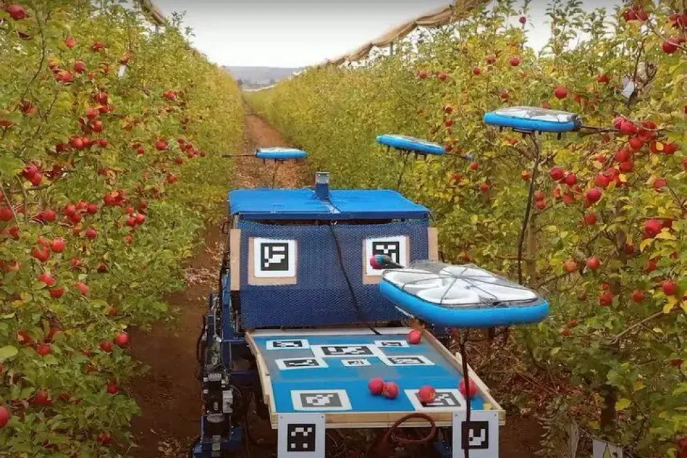 Llegaron los drones para la recolección de fruta: ¿qué pasará con los trabajadores de la cosecha?