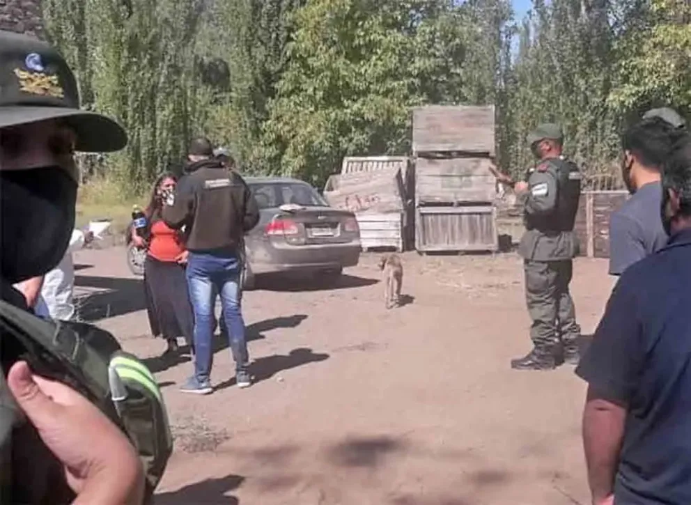 Por el homicidio de un compañero de trabajo, condenaron a dos peones golondrinas