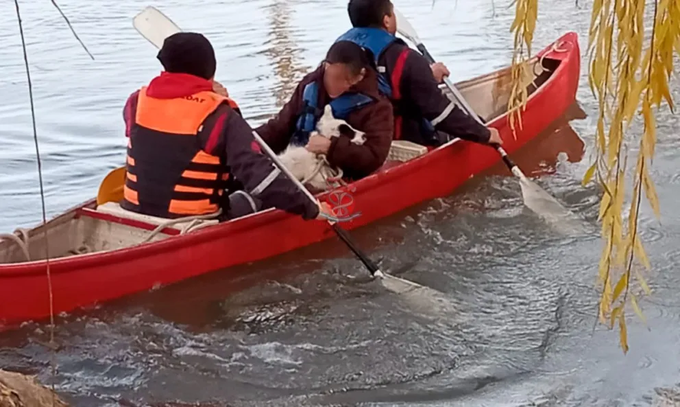 Los bomberos de Roca también ayudaron a las víctimas de la crecida del río 