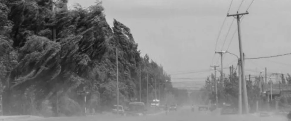 Alerta por fuertes vientos en la región del Alto Valle