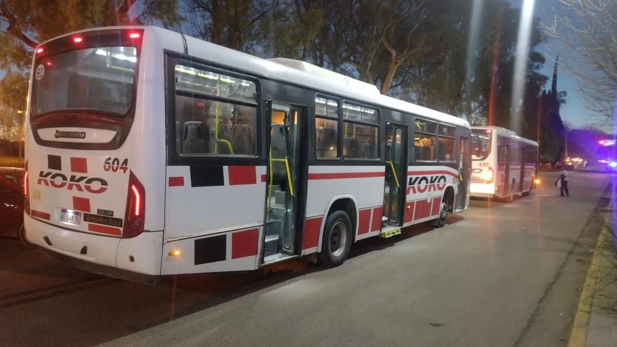 UTA adhiere al paro del mi&eacute;rcoles 24 &iquest;Qu&eacute; pasar&aacute; con los servicios de  transporte en el Alto Valle? | ANR :: Agencia de Noticias Roca - Diario  online con noticias e informaci&oacute;n de Roca.