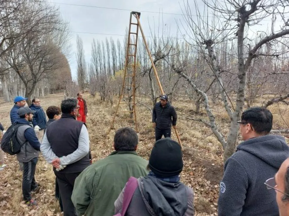 Finalizó el taller de poda: participaron 34 personas