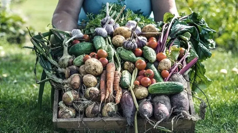 Se viene una nueva Feria de Productoras Agroecológicos y en Transición “Cultivar”