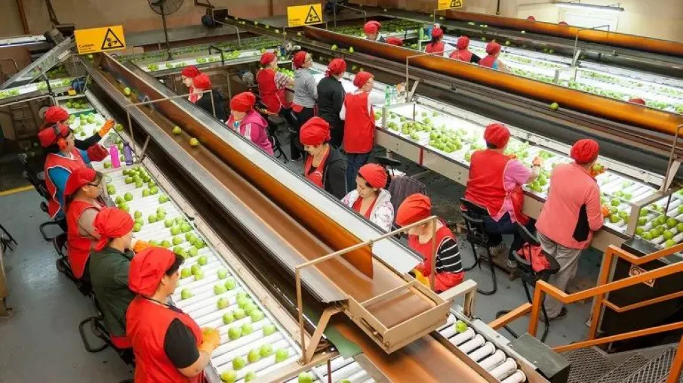 Los trabajadores de la fruta reclaman un aumento salarial por encima de la inflación
