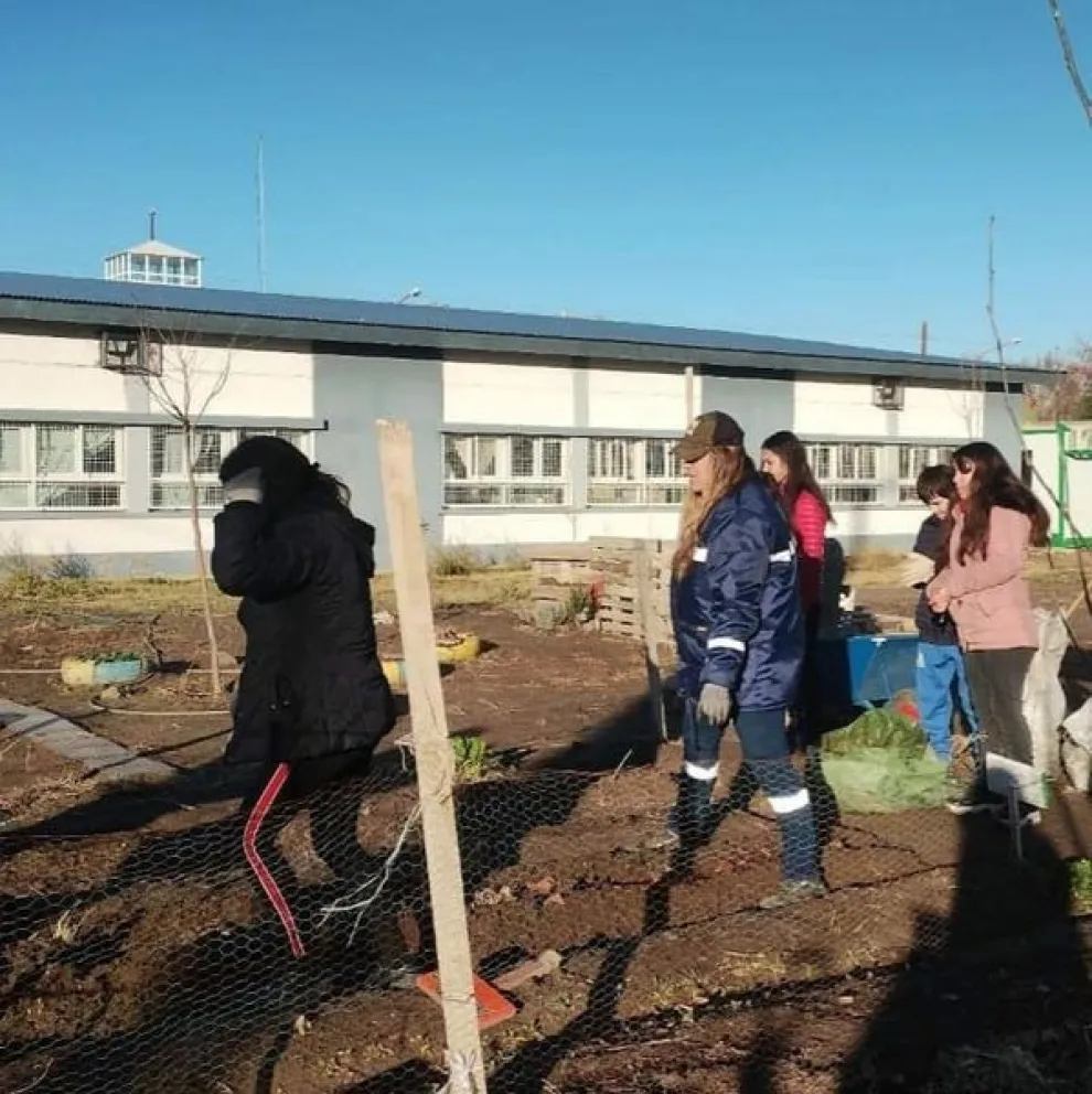 Brindarán taller de huertas para mujeres y disidencias 