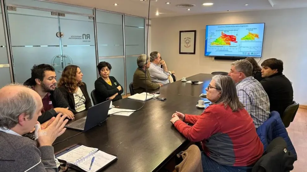 Organismos provinciales buscan declarar la emergencia por sequía en la región 