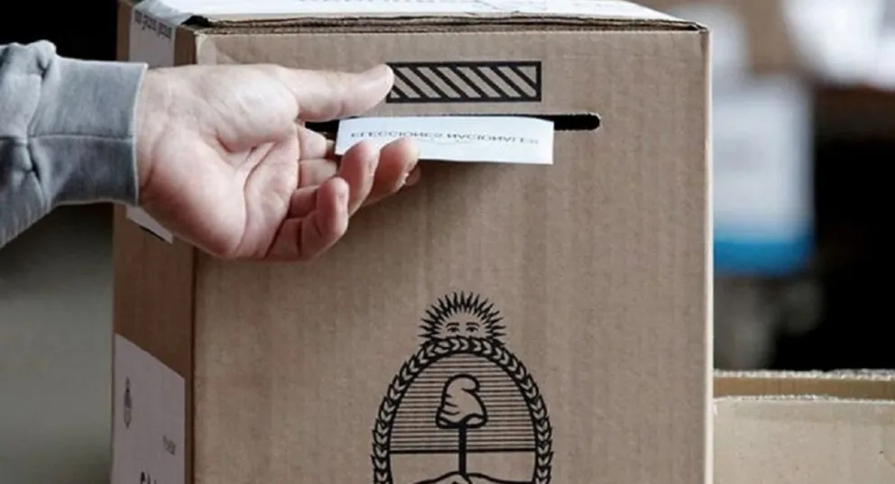 Elecciones 2023: la Justicia Electoral bajó siete partidos para las PASO por incumplir requisitos