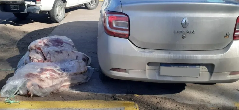 Intentó ingresar a la Patagonia con 14 costillares y lo decomiso el Senasa