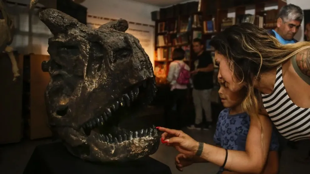 Llega a la zona la muestra “Dinosaurios y otras bestias prehistóricas”