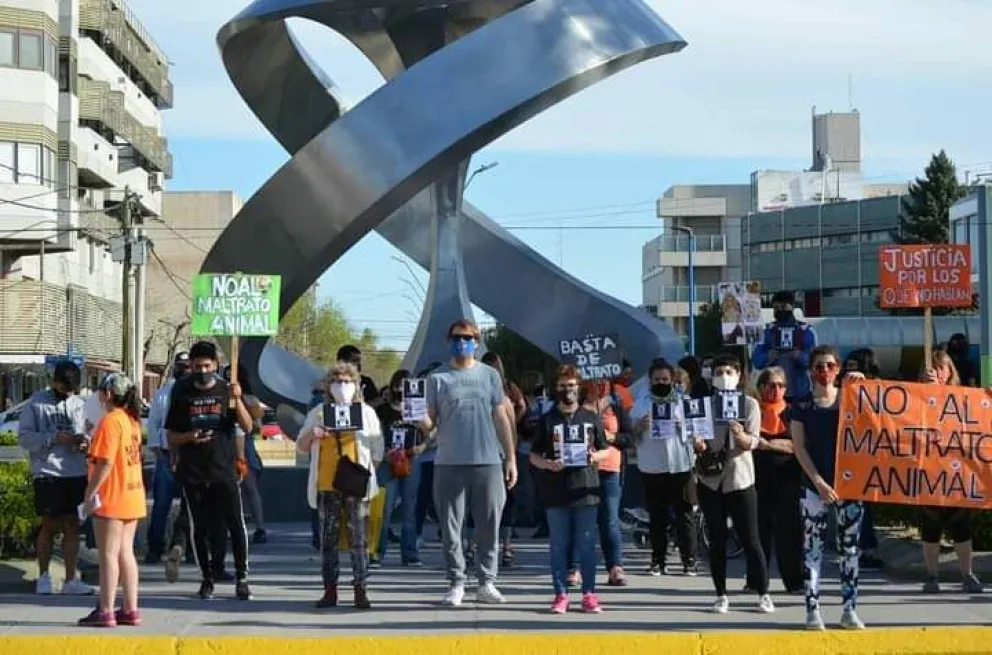 Convocan a participar en Roca de la quinta marcha contra el maltrato y la crueldad animal 