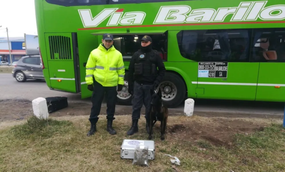 Un colectivo de larga distancia llevaba una encomienda con marihuana
