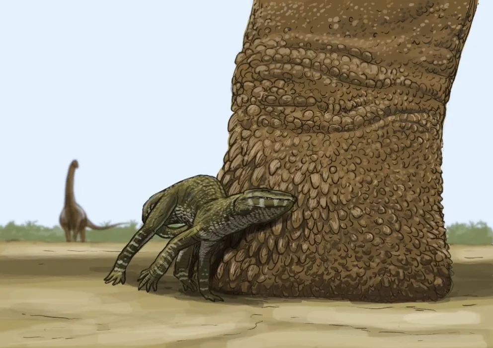 ¡Increíble hallazgo!: encontraron huellas de dinosaurios de 95 millones de años con marcas de piel y de garras