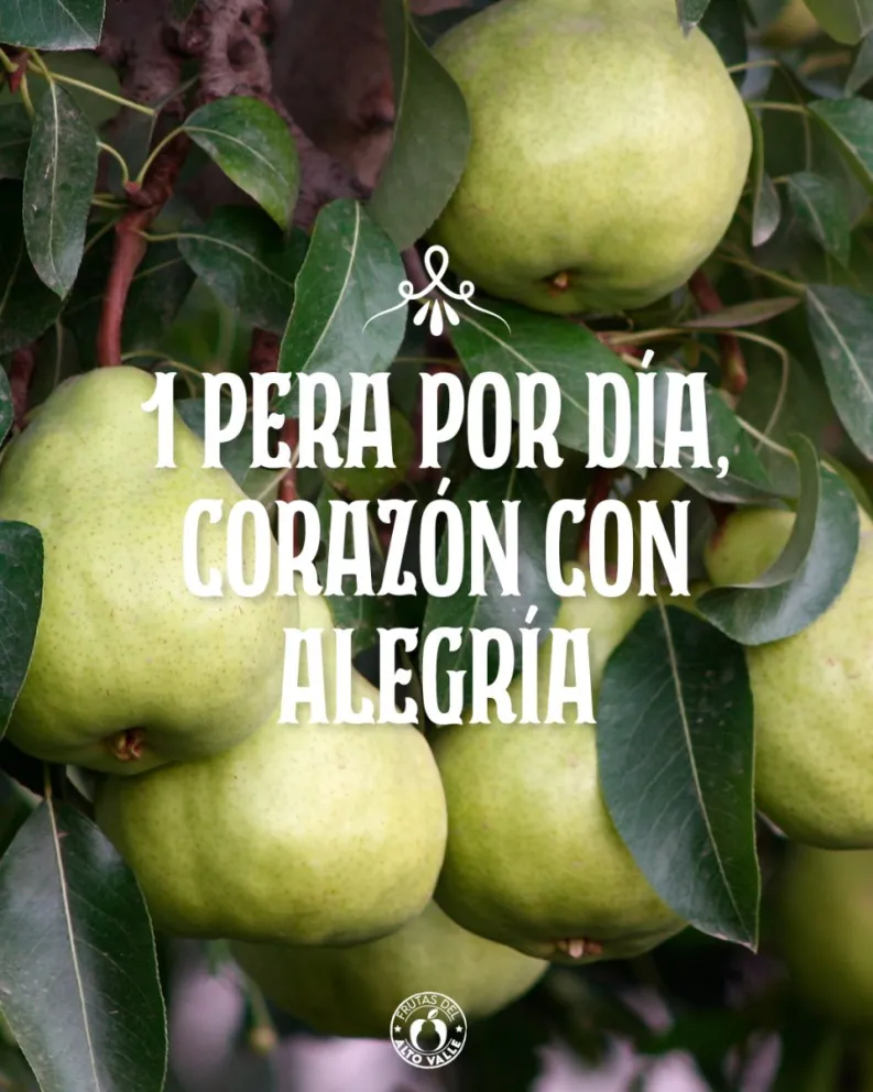 Empacadoras regionales: en una campaña para aumentar el consumo de peras y manzanas