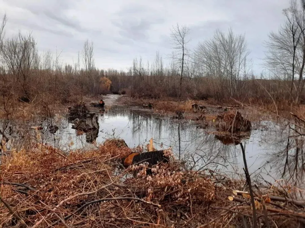 Recuperaron casi 50 hectáreas sobre la costa del río que se había apropiado una empresa