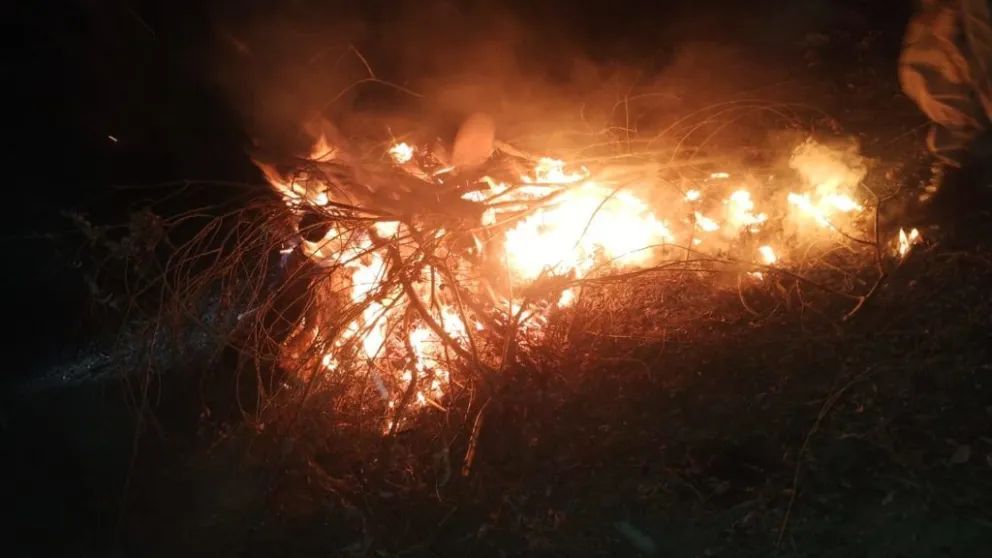 Incineraron 100 kilos de carne que tenían como destino nuestra región 