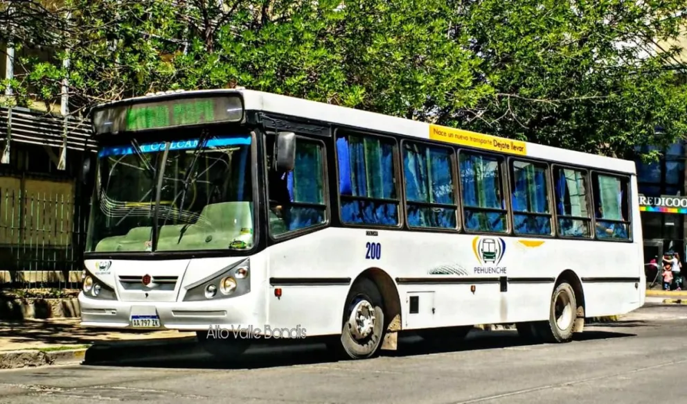 Cinco colectivos urbanos para atender la demanda de unos 50 barrios