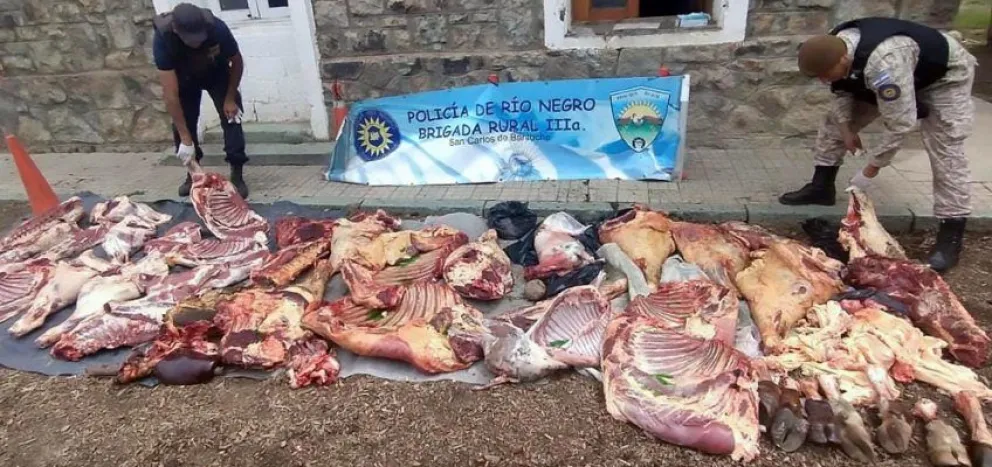 En lo que va del año, se han decomisado ¡11.000 kilos de carne!
