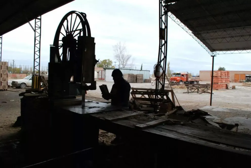 Los trabajadores del aserradero tomaron la Cooperativa 1° de Mayo
