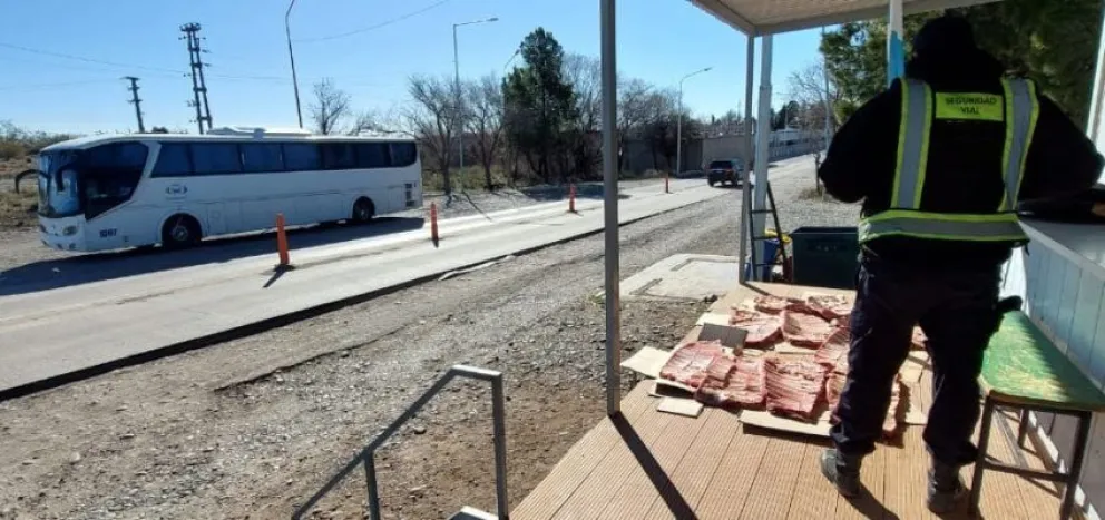 ¿La imaginación al poder? Transportaban costillares en un colectivo