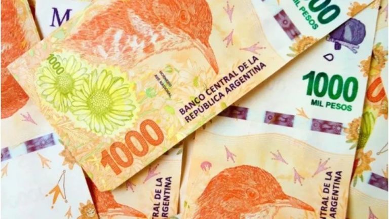 El Gobierno analiza un nuevo bono para después de las PASO: a quiénes alcanza