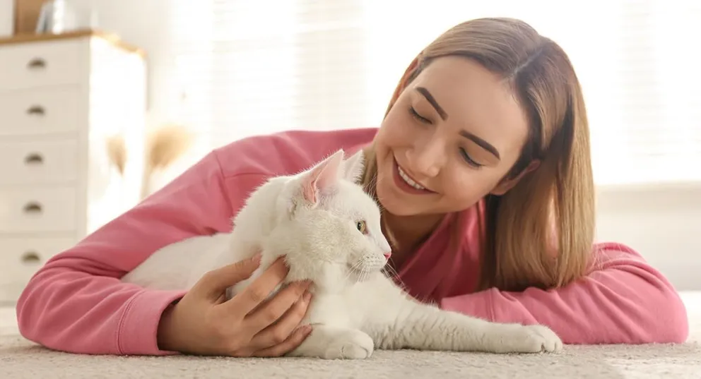Cuáles son los beneficios para la salud de elegir un gato como mascota