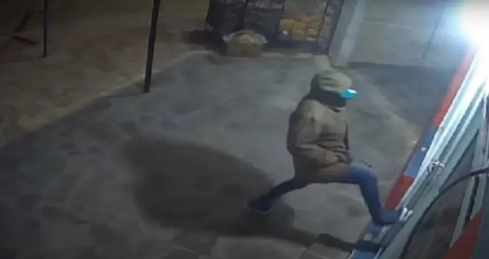 El colmo: un ladrón rompió una puerta con las manos en los bolsillos y se robó un tele