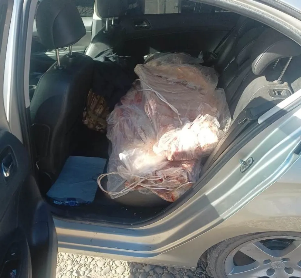 Llevaba costillares sentados en el asiento trasero y lo decomisó en Senasa 