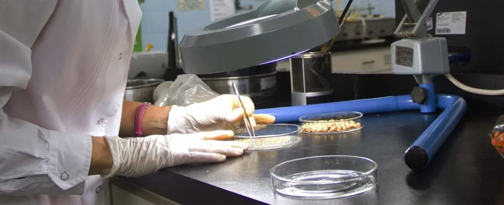 Gobierno otorga subsidios impositivos para impulsar la biotecnología y nanotecnología