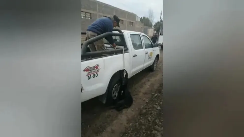 VIDEO: petroleros llevan colgada de su camioneta a una perrita y casi la matan