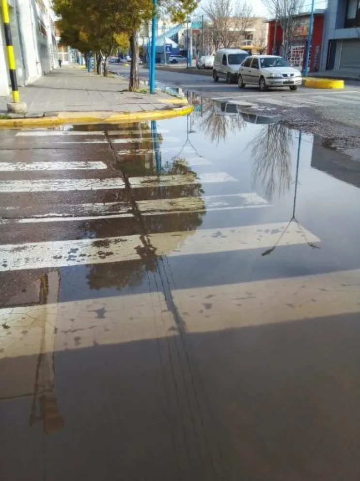 Se registraron 43 nuevos reclamos por agua potable y de cloacas en las calles