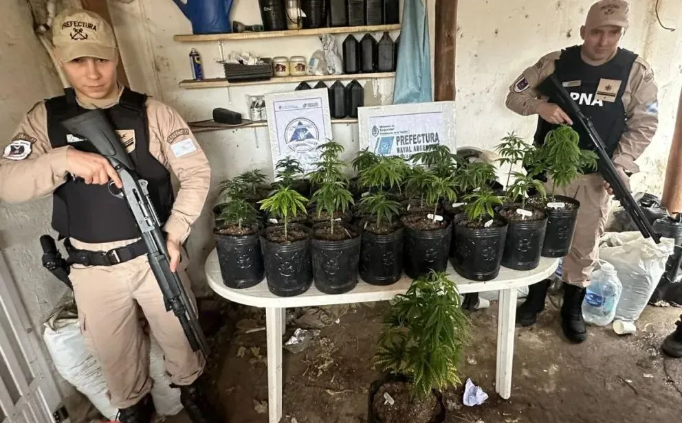 Golpe al narcotráfico: una detención y decomiso de marihuana por 55 millones de pesos