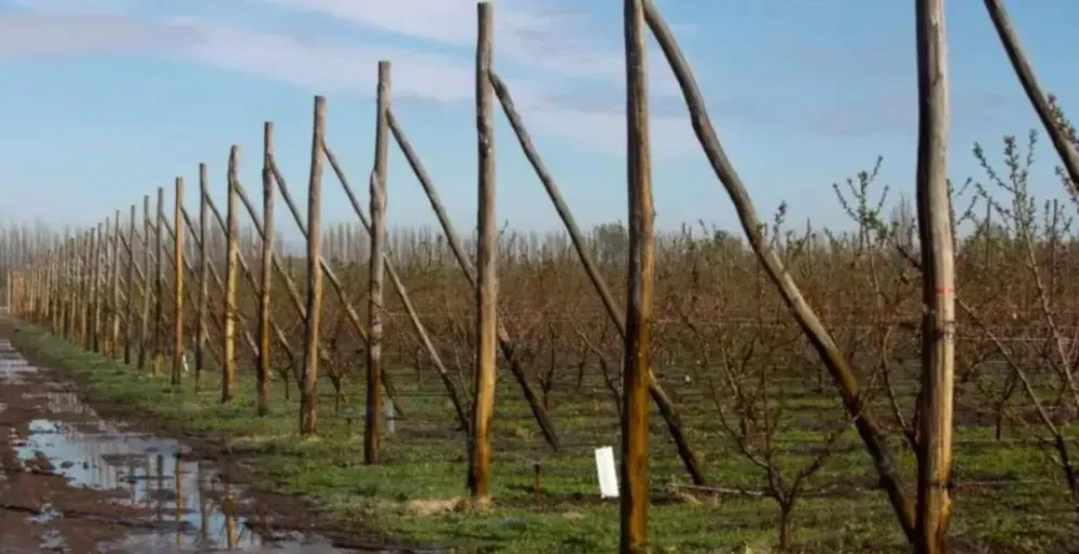 Preocupa la crecida de los ríos y cómo puede afectar a las chacras 