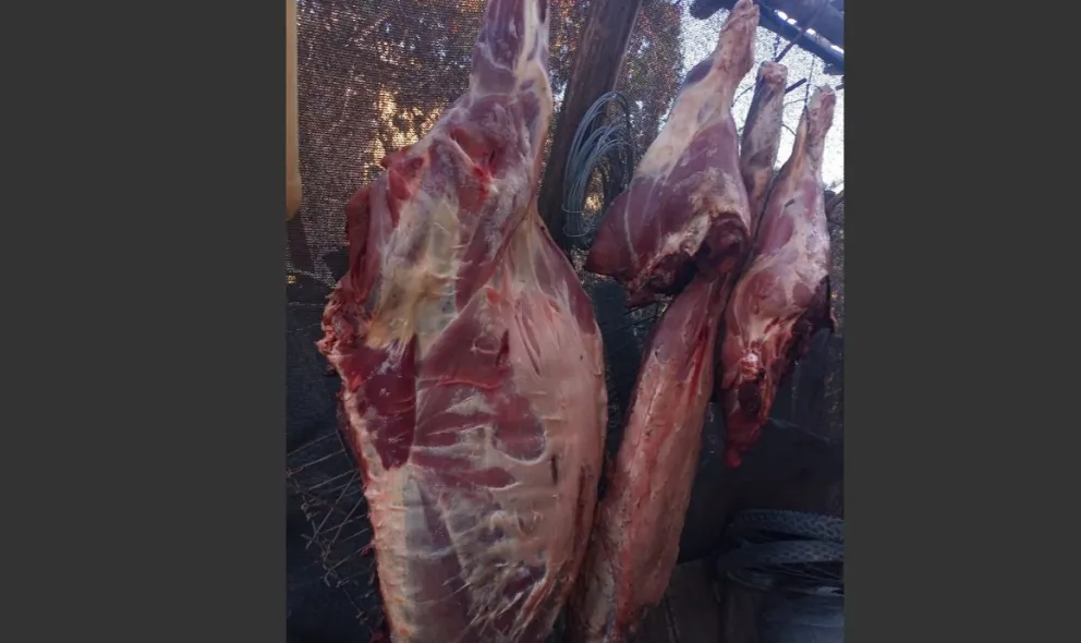 Secuestraron 100 kilos de carne e imputaron a 7 personas 