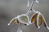 Clima: A abrigarse que se vienen temperaturas bajo cero