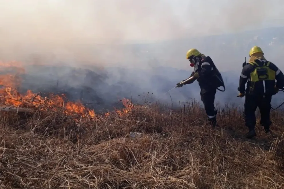 Severo incendio arrasó con 4 hectáreas de pastizales y demandó varias horas de trabajo de bomberos