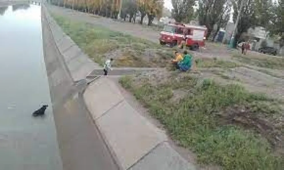 Tras un gran número de casos de ahogamiento, alertan sobre el cuidado de las mascotas para evitar que caigan al Canal 