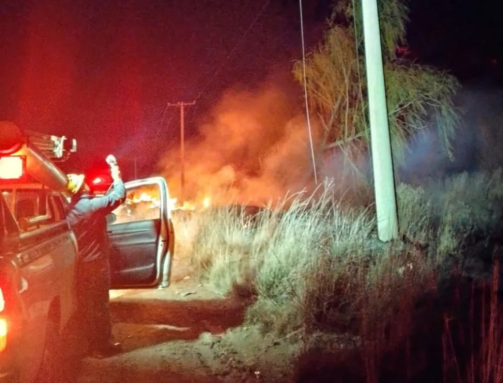 Ola de robos eléctricos pone en alerta a crianceros y chacareros del Alto Valle