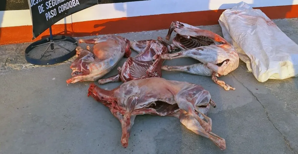 Atraparon a un hombre de 55 años con animales faenados