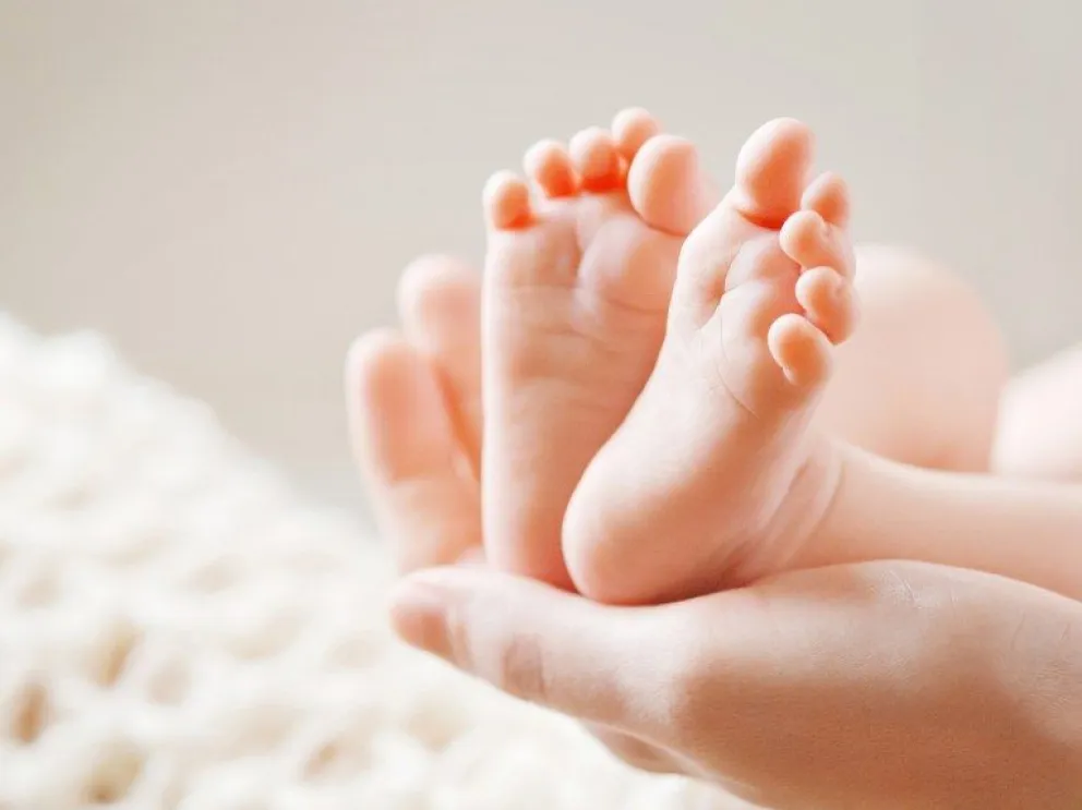 Pese a la gran cantidad de consultas: el bebé de 20 días y sus hermanitos siguen sin familia solidaria ¿Dónde comunicarse?