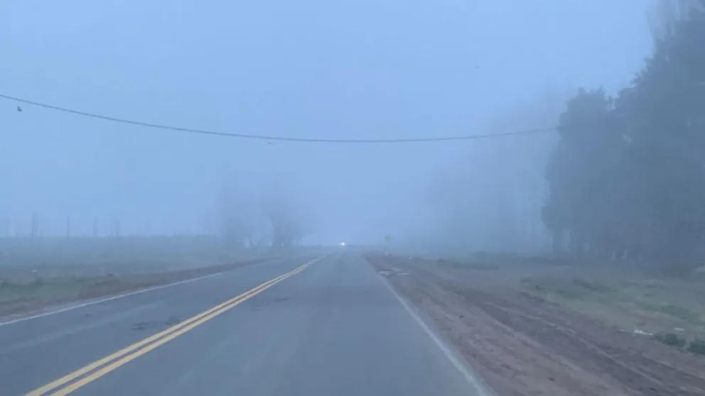 Máxima precaución por niebla en la Ruta 22: estas son las recomendaciones