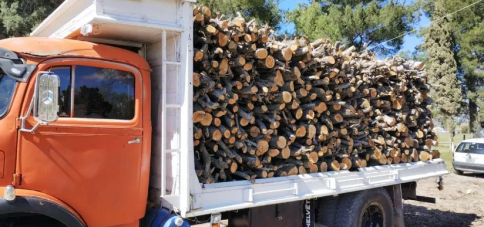Transportaba cinco toneladas de leña ilegalmente y no pasó el control policial