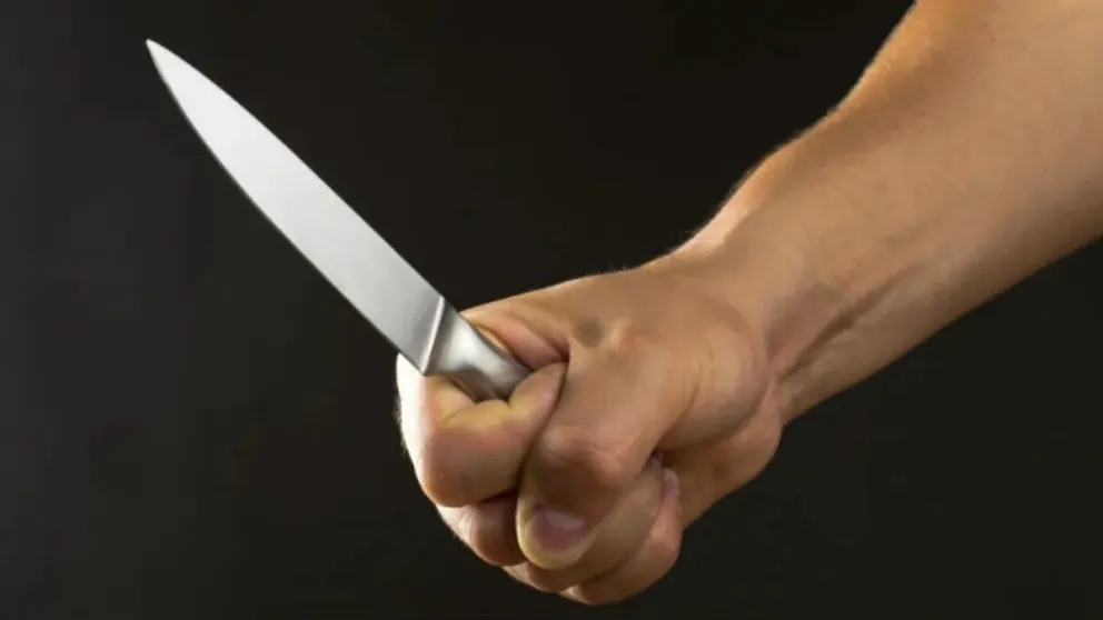 Dos menores ingresaron a una escuela y amenazaron a alumnos con un cuchillo