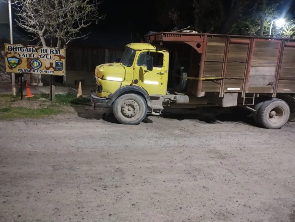 La Policía secuestró dos caballos que eran transportados en un camión de manera ilegal