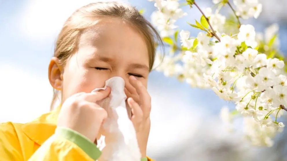 Alergias: qué cuidados tomar ante la llegada de la primavera