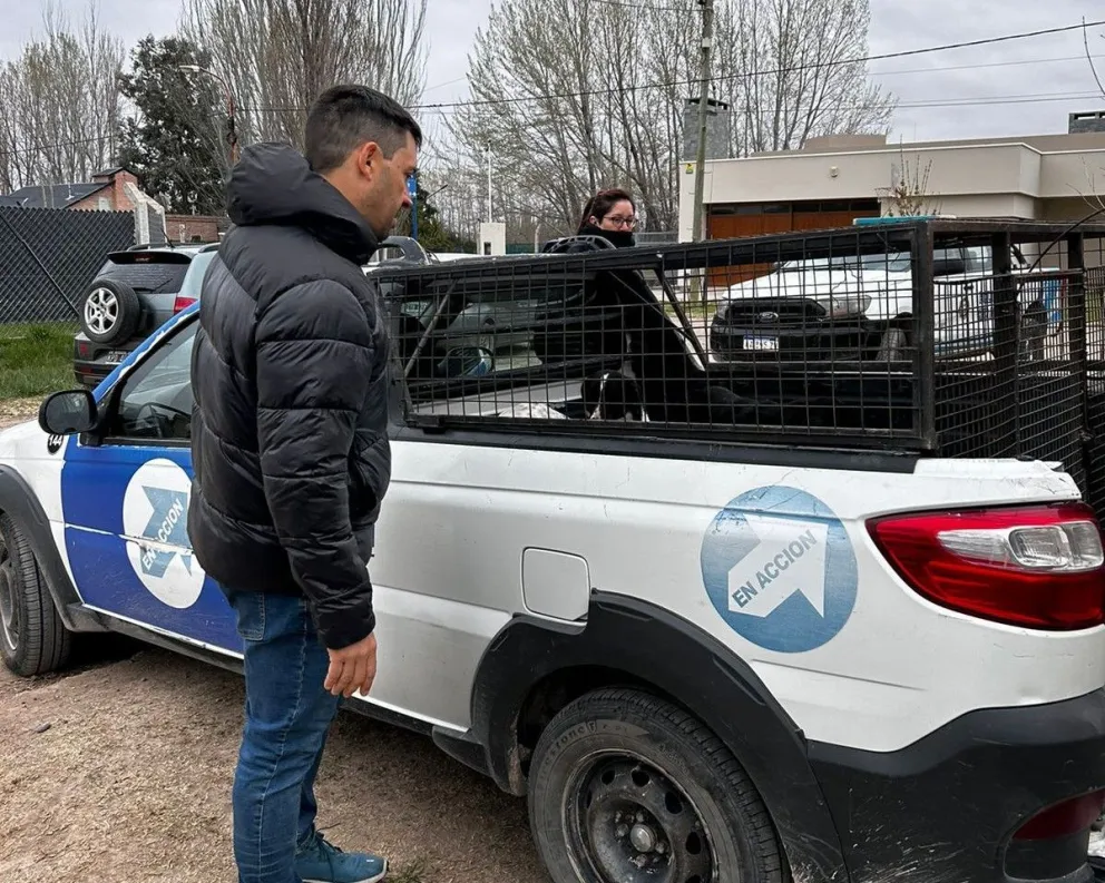 Bienestar municipal allanó una vivienda para rescatar 10 perros en estado deplorable 
