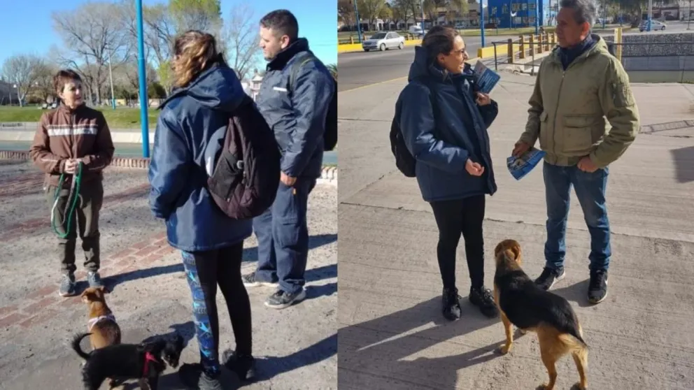 Roca implementa campaña de concientización y bienestar animal