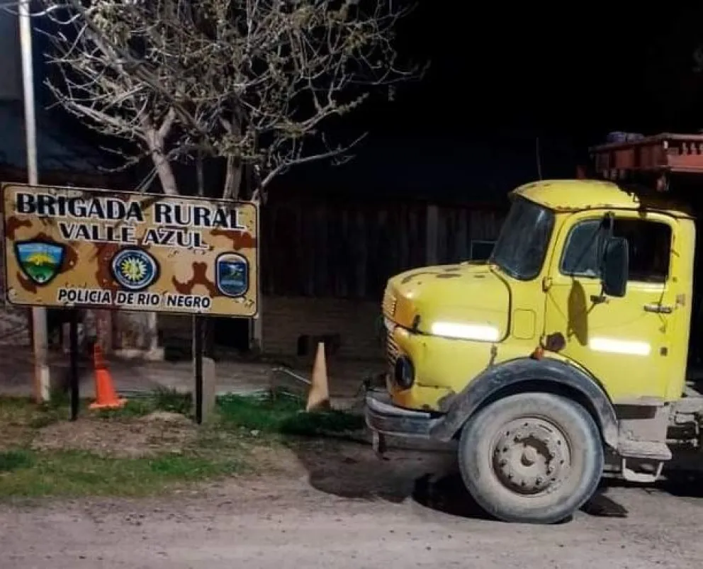 Un camión que transportaba de manera ilegal dos animales fue secuestrado 