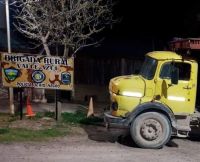 Un camión que transportaba de manera ilegal dos animales fue secuestrado 